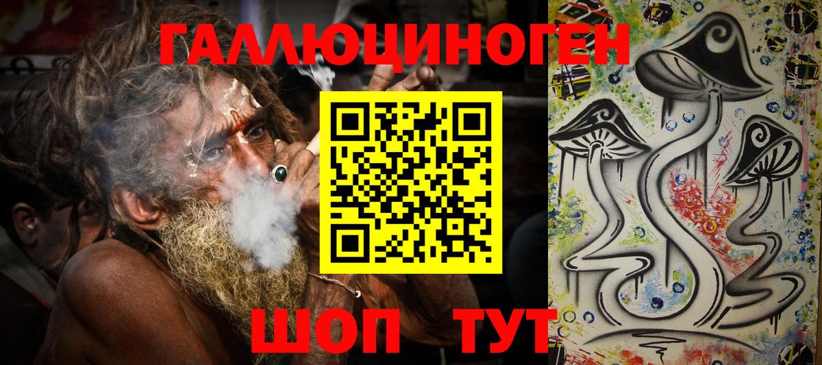 Славгород  Псилоцибиновые грибы прущие грибы  Вход с VPN 
